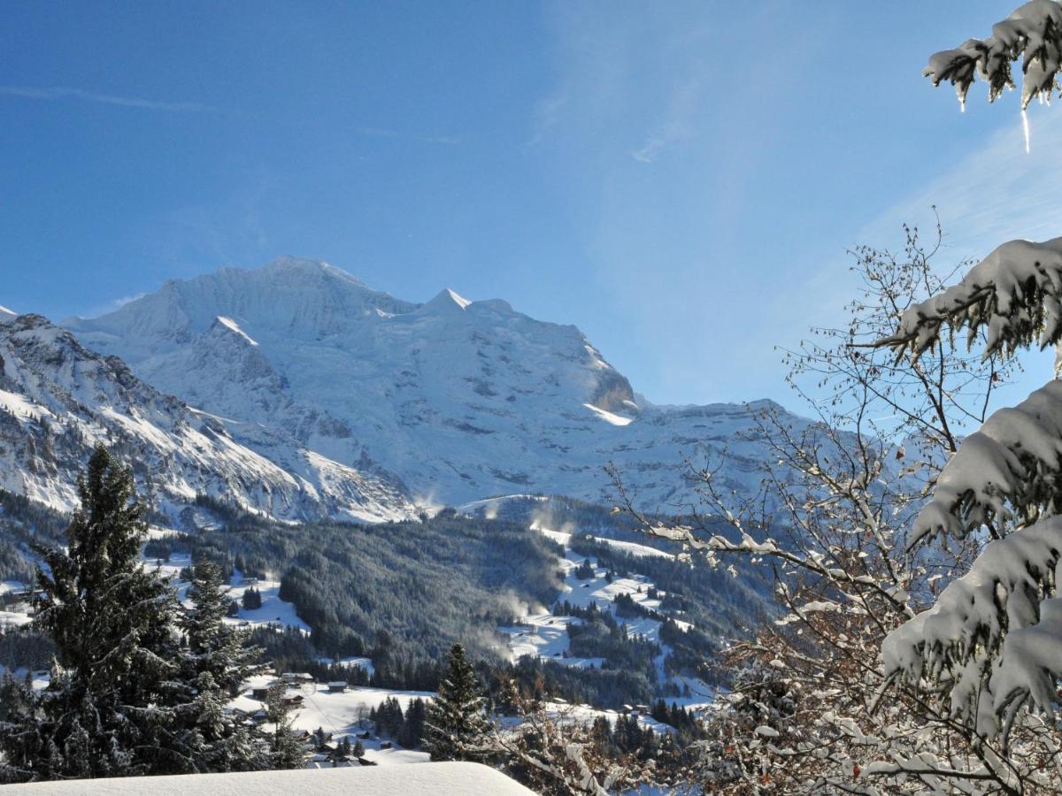 Apartment Eiger Residence Apt-A-425 By Interhome Wengen Exterior foto